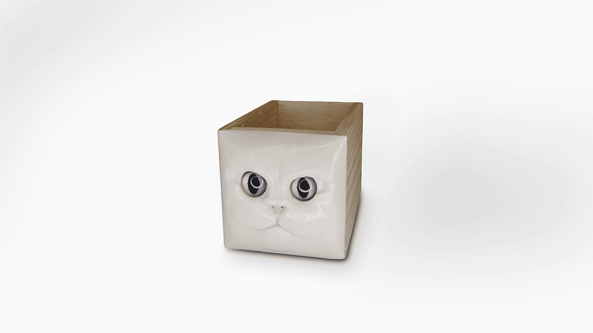 CAT 02
