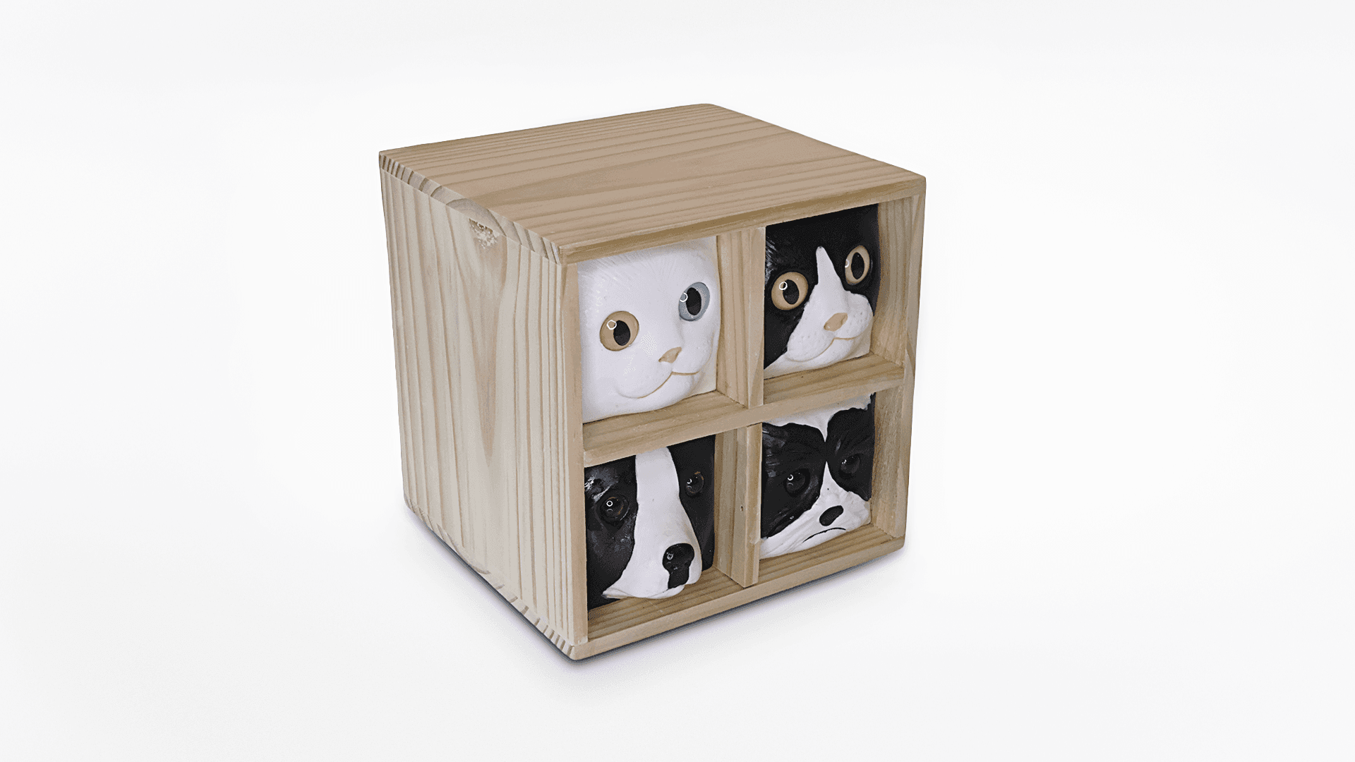 4 Rostinhos - imagem 4