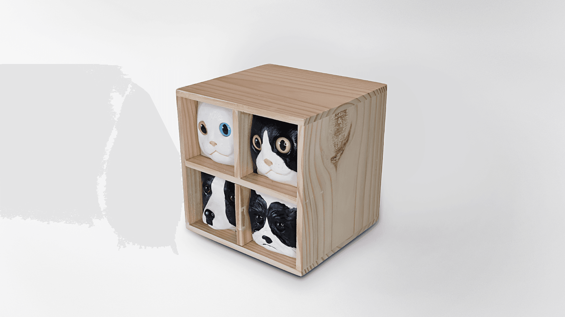 4 Rostinhos - imagem 3