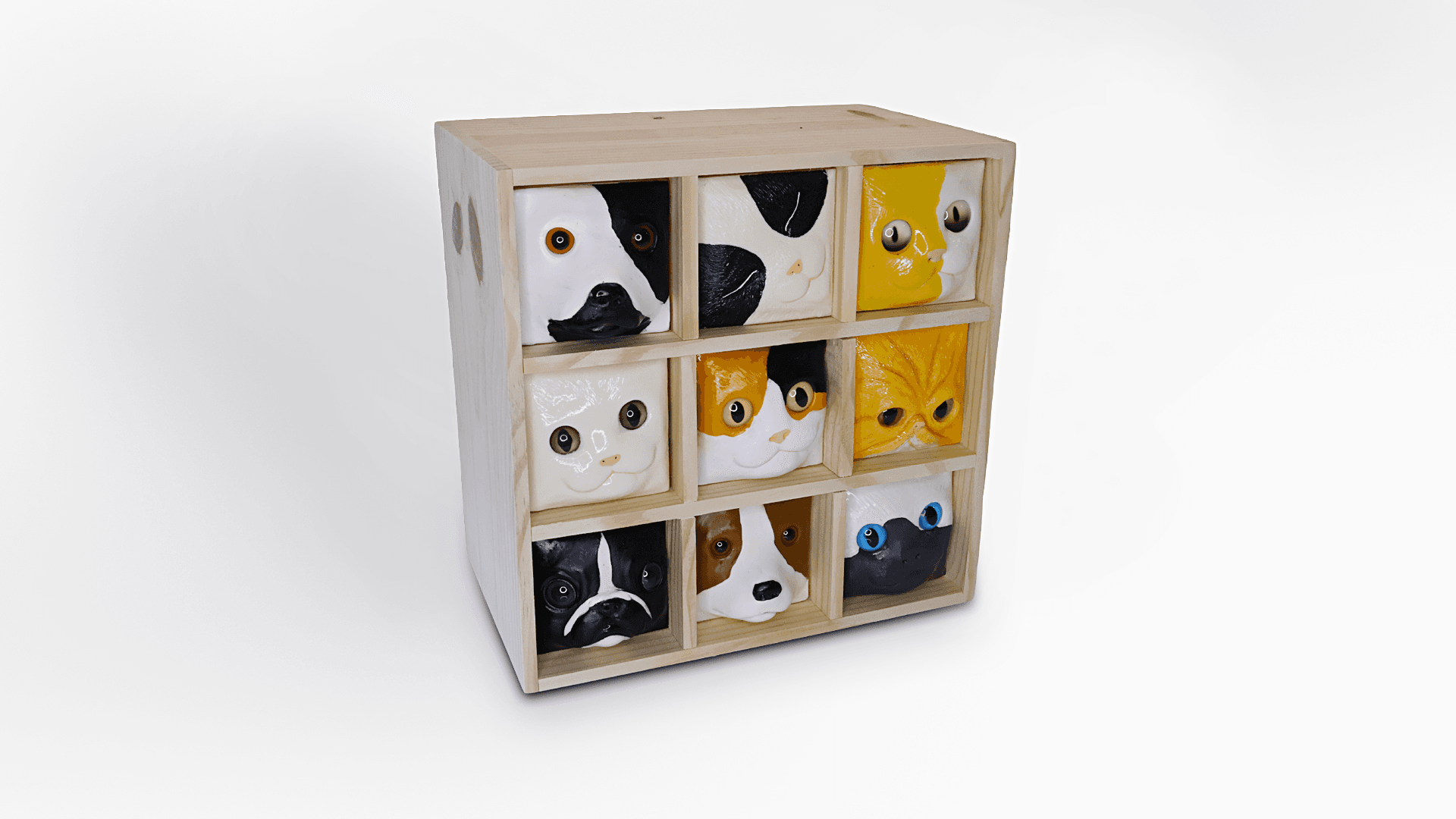 9 Rostinhos - imagem 3