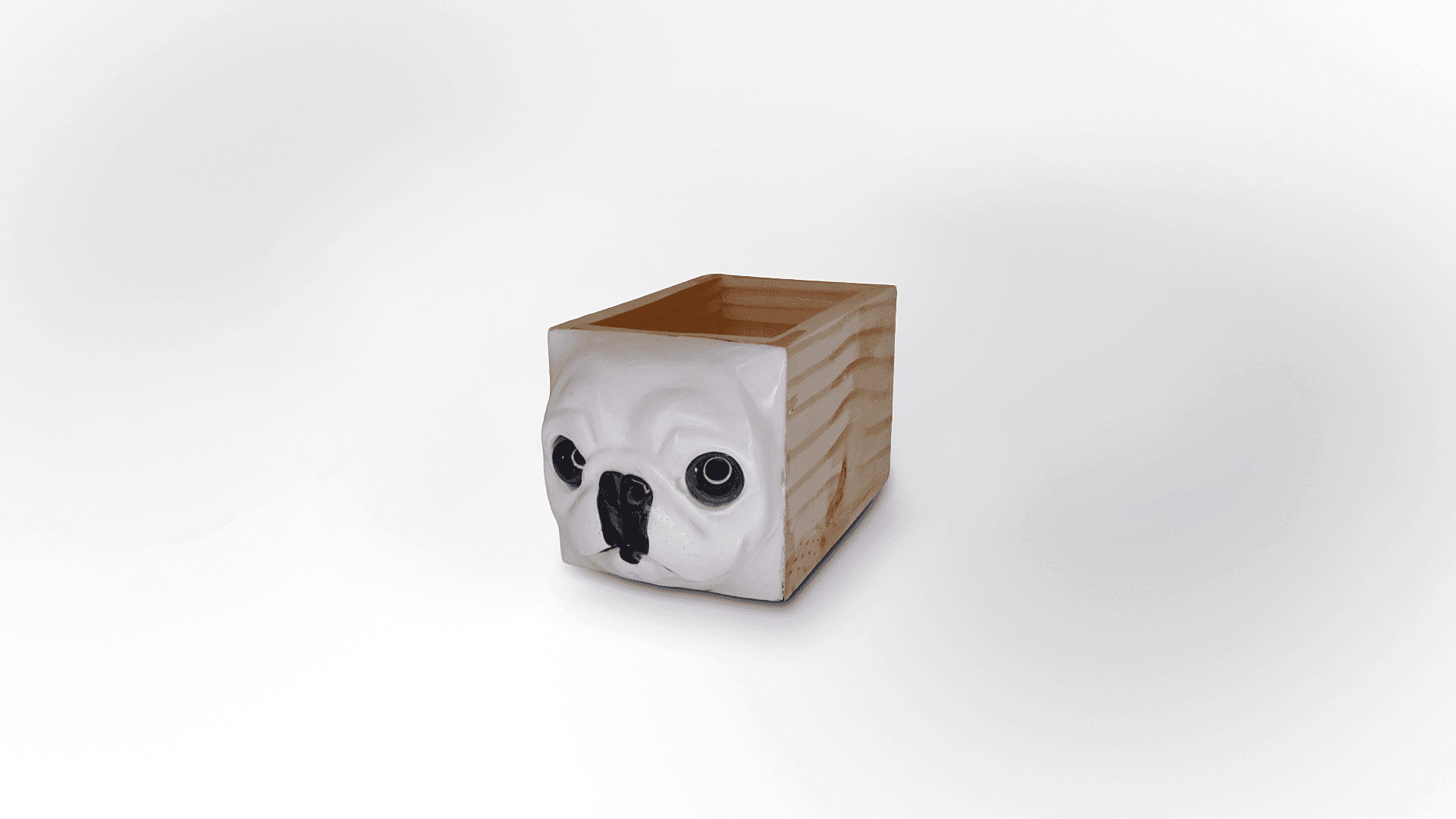 DOG 02