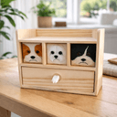 3 rostinhos com gaveta - miniatura 1